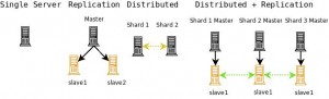 Scaling Progression